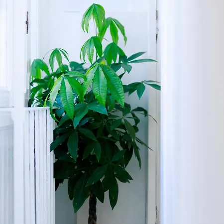 Casa Pontecorvo 05 *