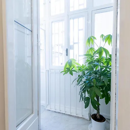 Casa Pontecorvo 05 公寓 那不勒斯